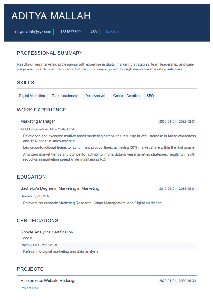 Professional Resume Template